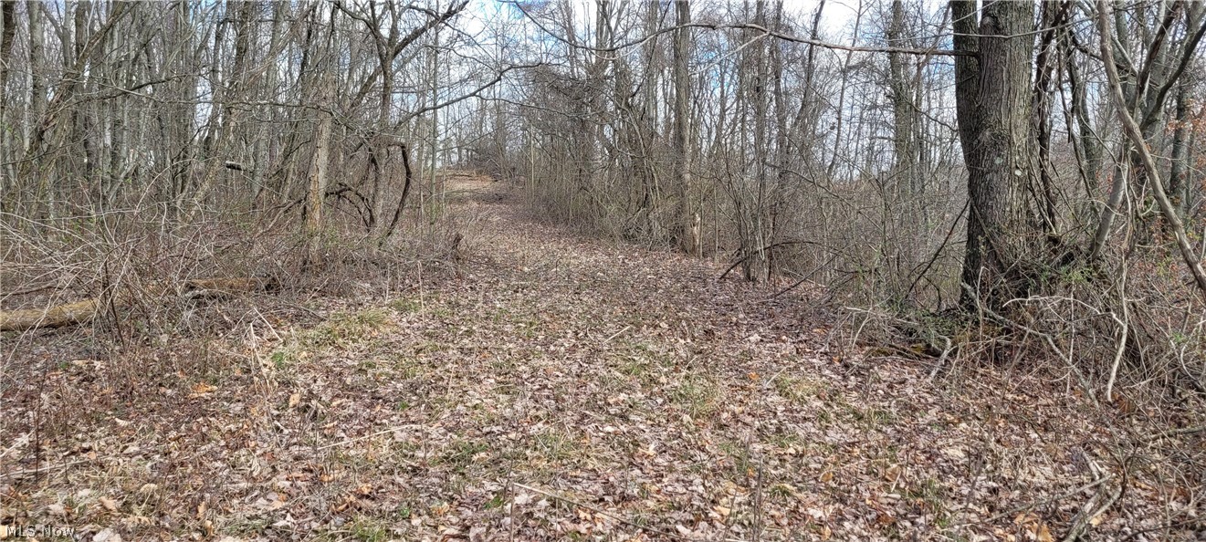 58547 Township Road 109 Kimbolton OH 43749