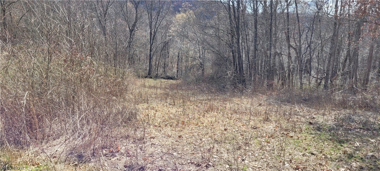 58547 Township Road 109 Kimbolton OH 43749
