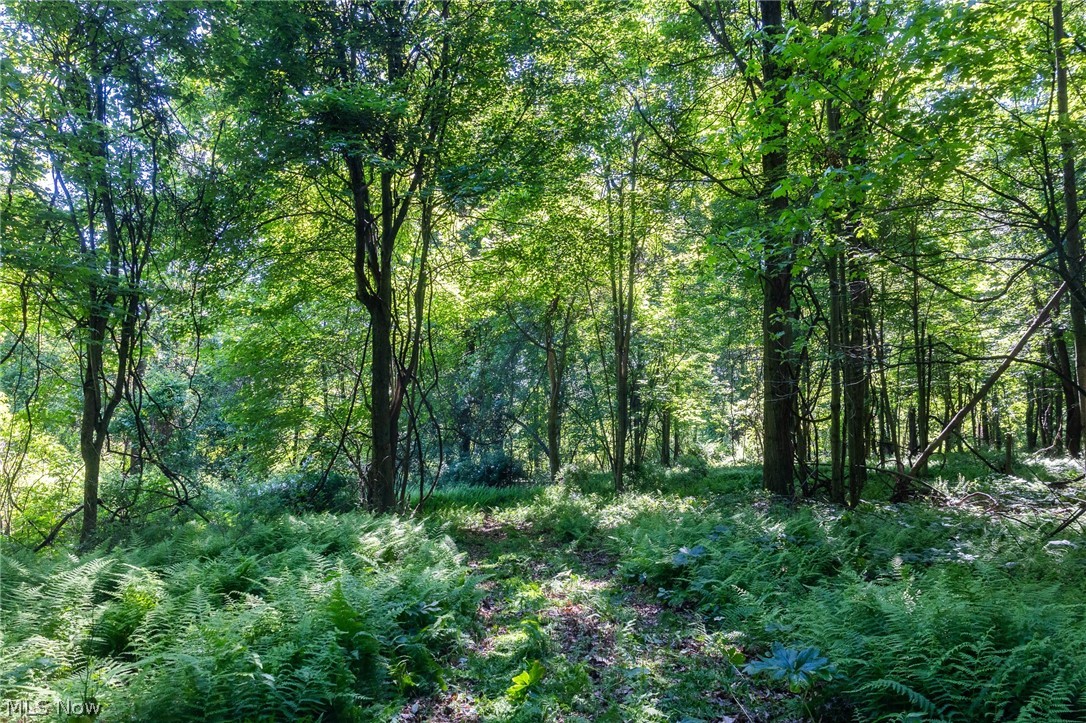Ridge Road Minerva OH 44657