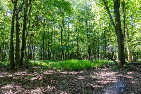 Ridge Road Minerva OH 44657