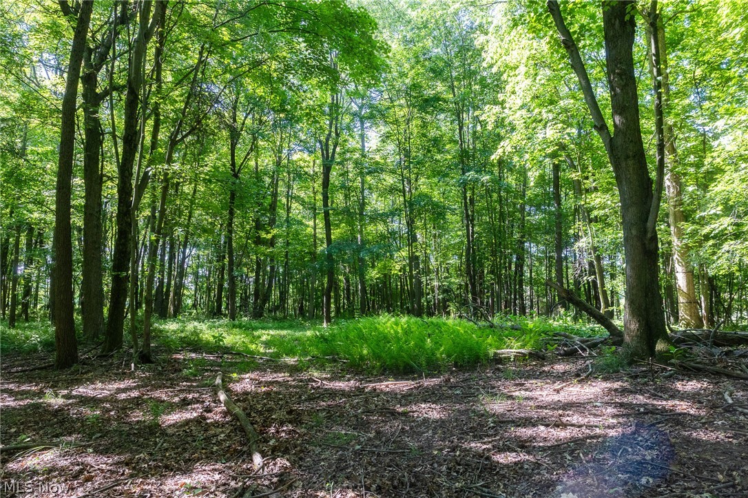 Ridge Road Minerva OH 44657