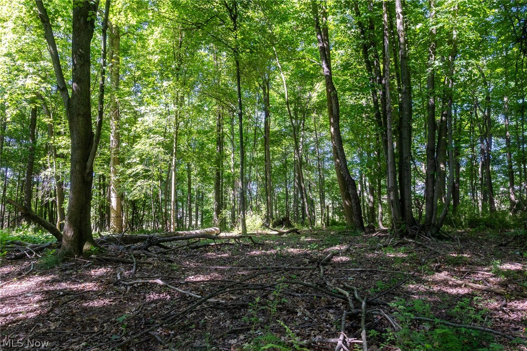 Ridge Road Minerva OH 44657