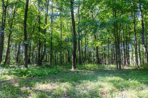Ridge Road Minerva OH 44657