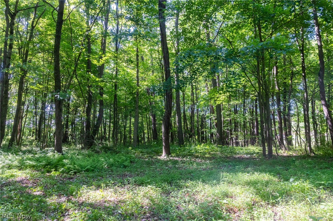 Ridge Road Minerva OH 44657