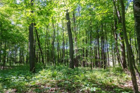 Ridge Road Minerva OH 44657