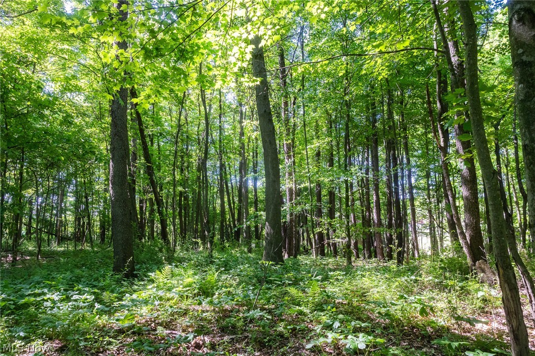 Ridge Road Minerva OH 44657