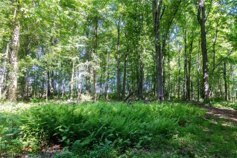 Ridge Road Minerva OH 44657
