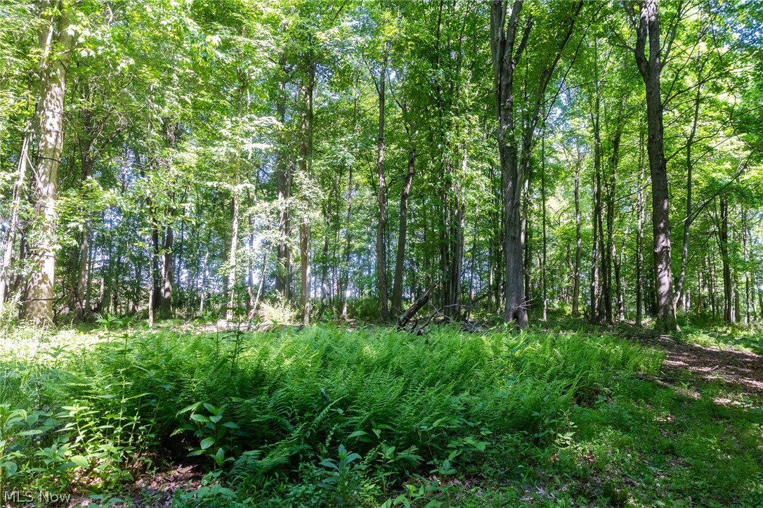 Ridge Road Minerva OH 44657