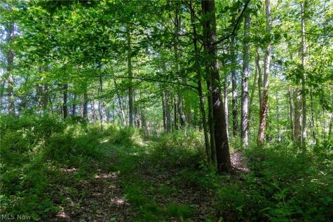 Ridge Road Minerva OH 44657