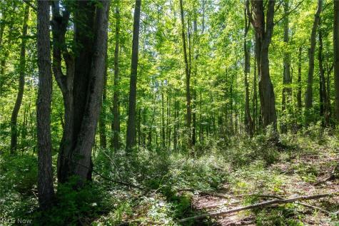Ridge Road Minerva OH 44657