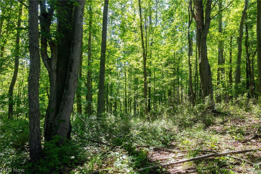 Ridge Road Minerva OH 44657
