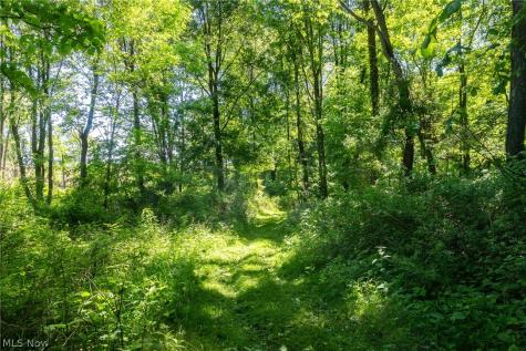 Ridge Road Minerva OH 44657