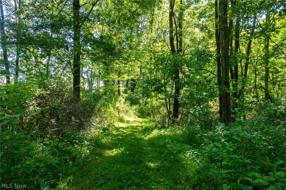 Ridge Road Minerva OH 44657