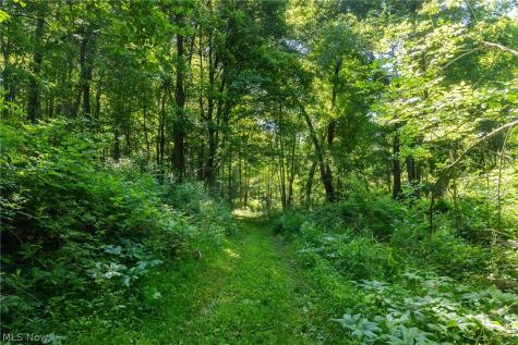 Ridge Road Minerva OH 44657