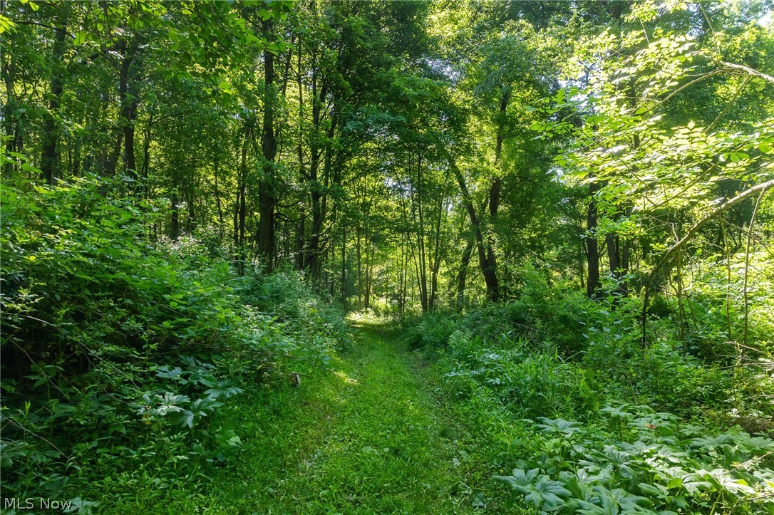 Ridge Road Minerva OH 44657