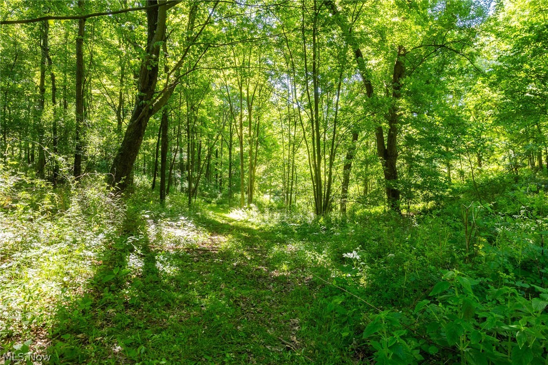Ridge Road Minerva OH 44657