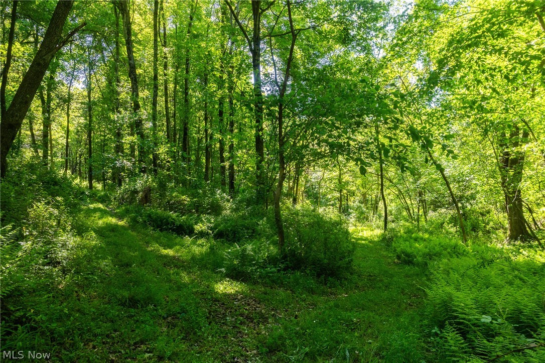 Ridge Road Minerva OH 44657