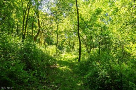 Ridge Road Minerva OH 44657