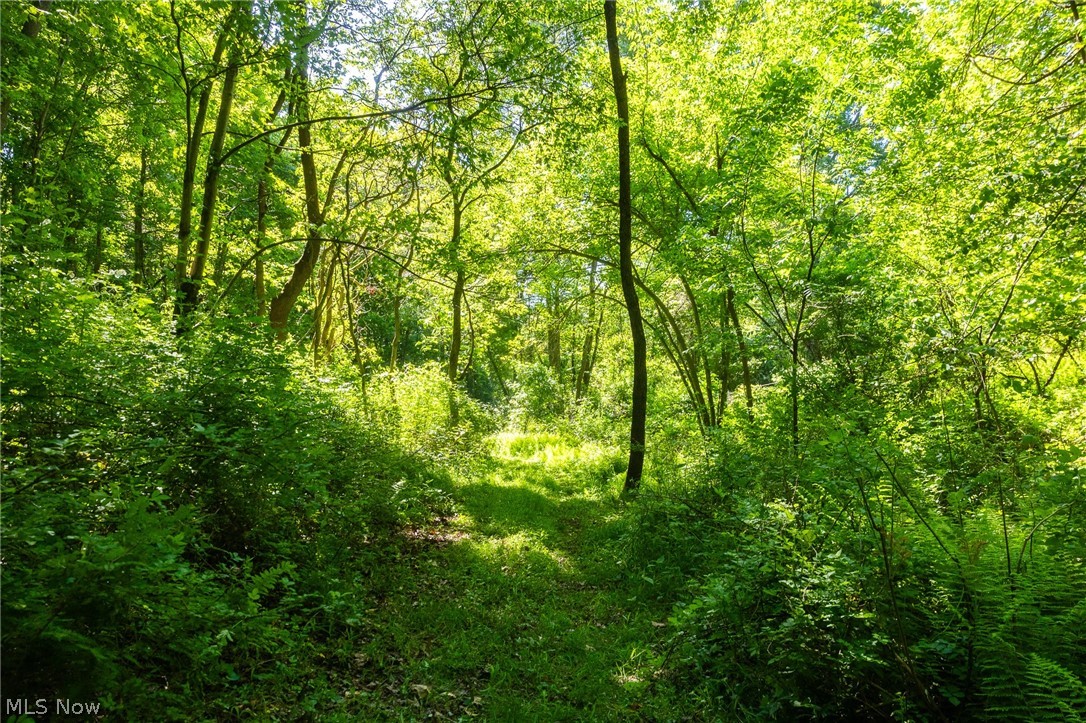 Ridge Road Minerva OH 44657