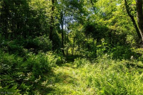 Ridge Road Minerva OH 44657