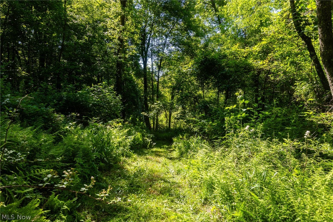 Ridge Road Minerva OH 44657