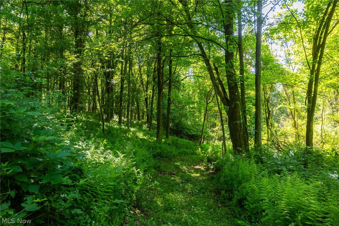 Ridge Road Minerva OH 44657
