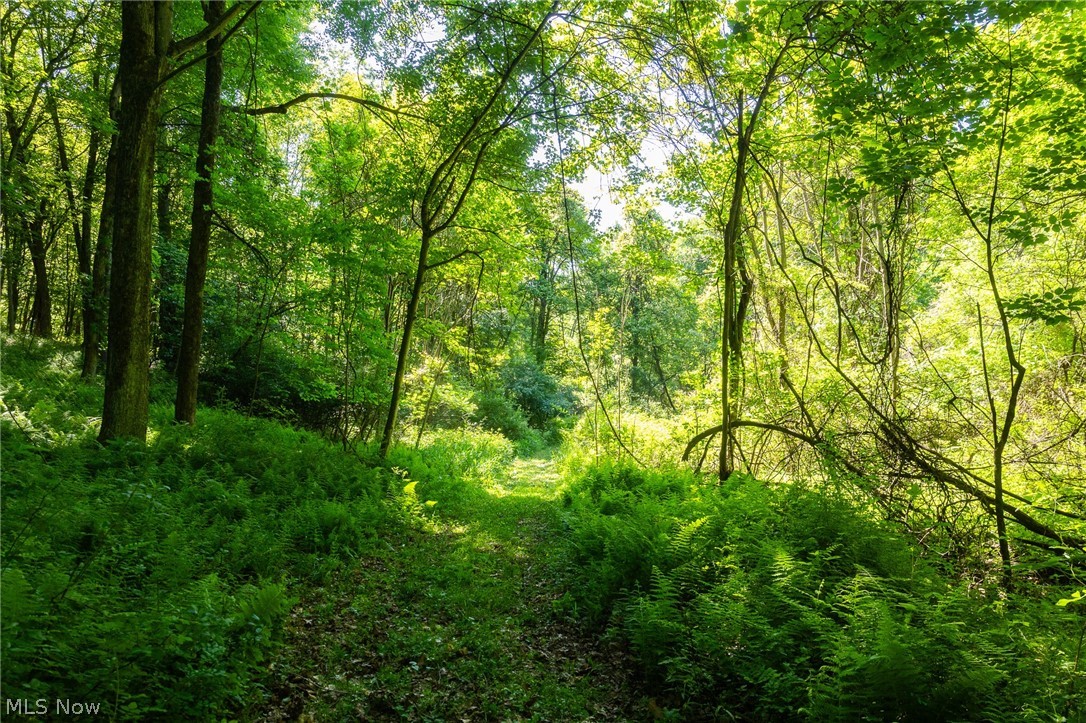Ridge Road Minerva OH 44657