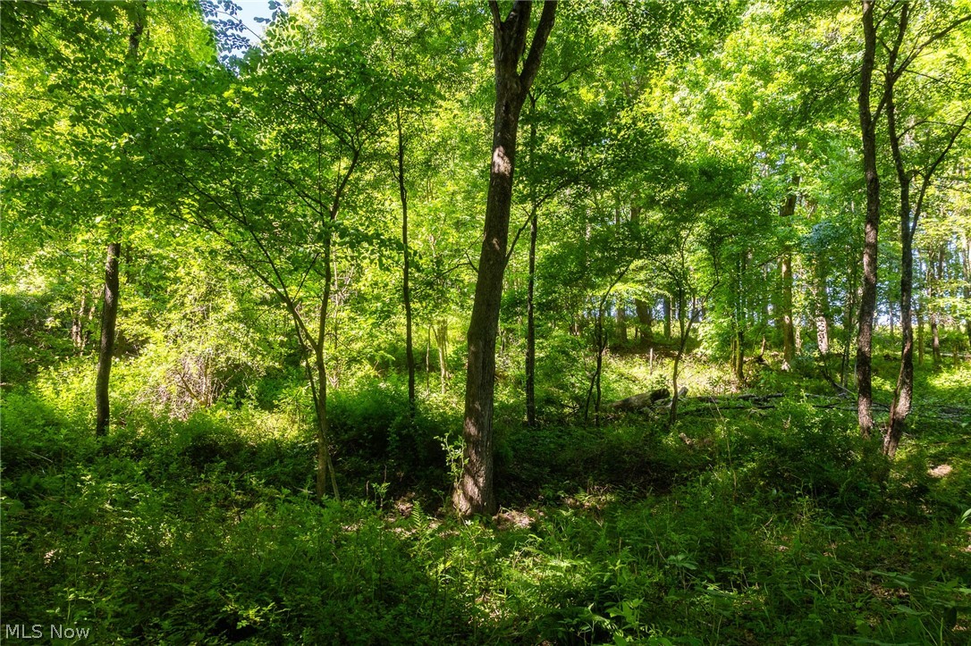 Ridge Road Minerva OH 44657