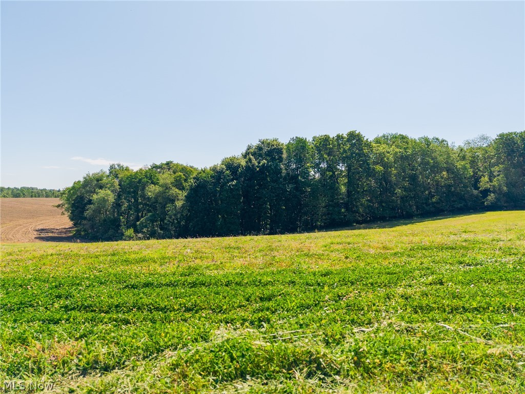 Ridge Road Minerva OH 44657