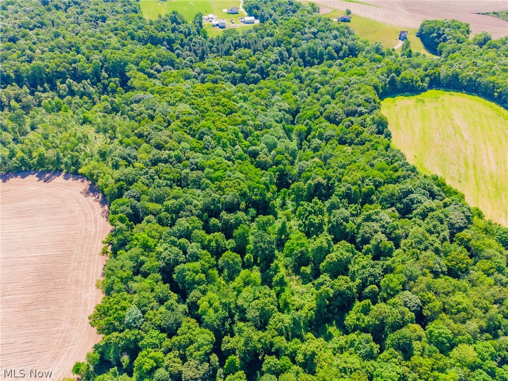 Ridge Road Minerva OH 44657