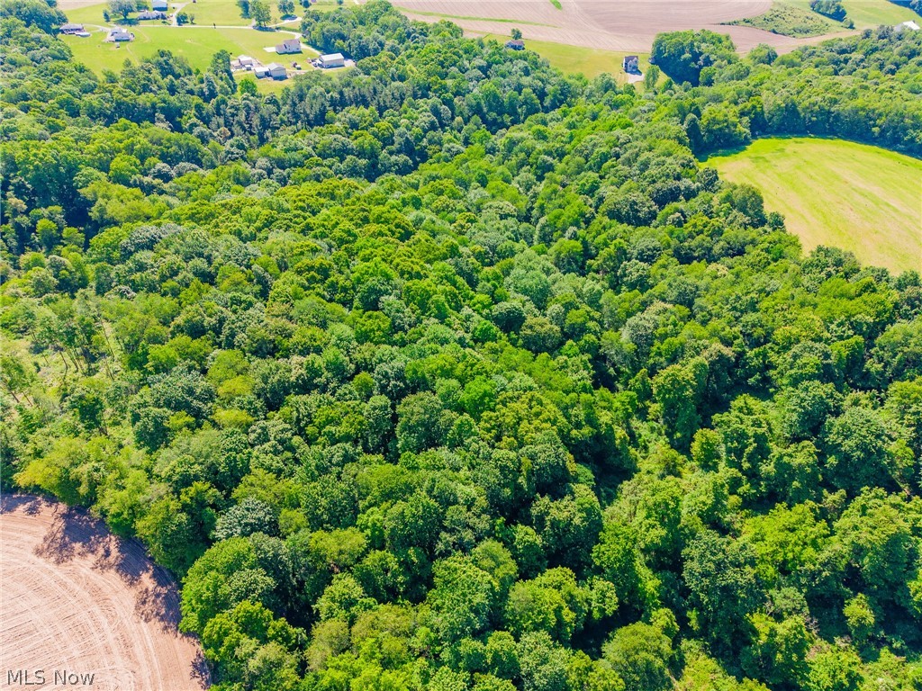 Ridge Road Minerva OH 44657