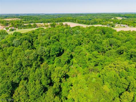 Ridge Road Minerva OH 44657