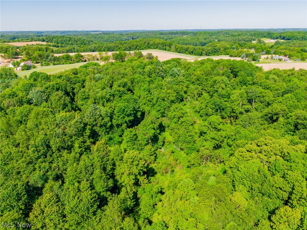 Ridge Road Minerva OH 44657