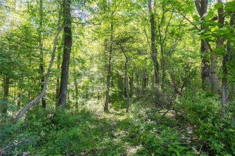 Ridge Road Minerva OH 44657