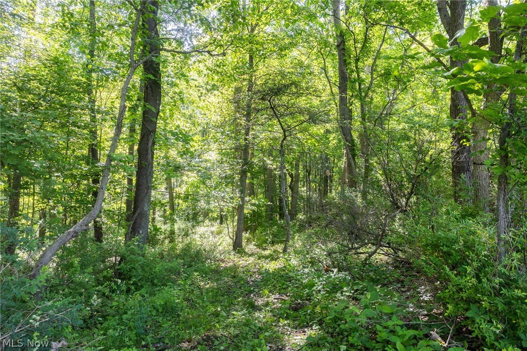 Ridge Road Minerva OH 44657