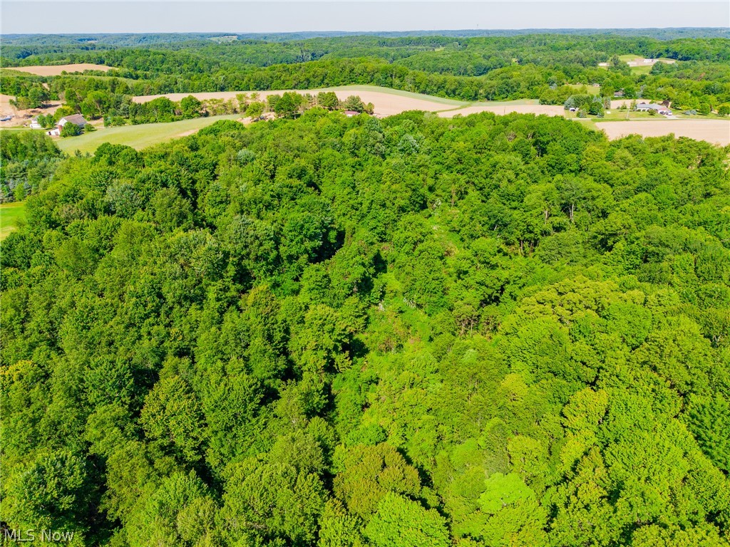Ridge Road Minerva OH 44657