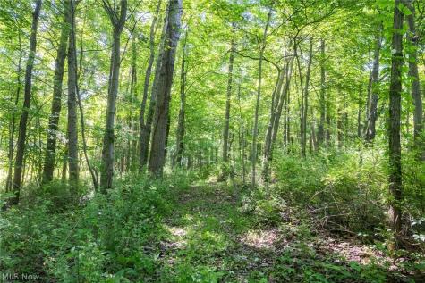 Ridge Road Minerva OH 44657