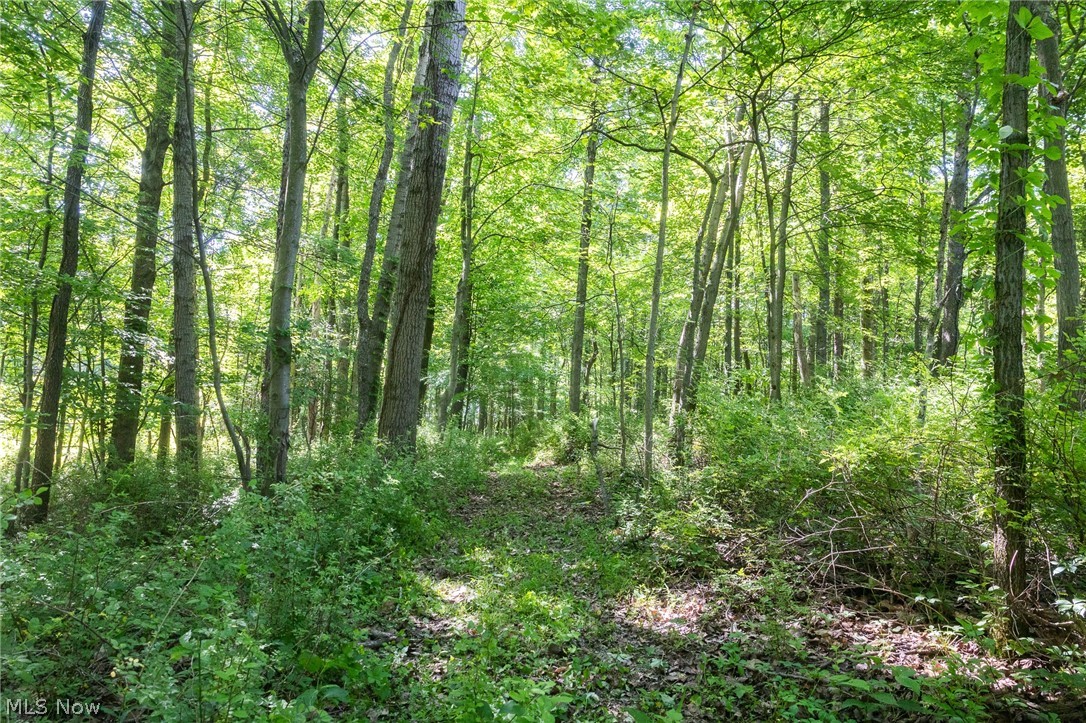 Ridge Road Minerva OH 44657
