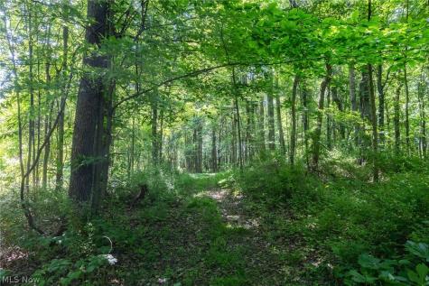 Ridge Road Minerva OH 44657