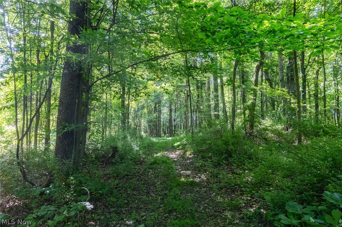 Ridge Road Minerva OH 44657