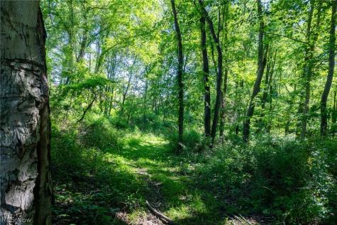 Ridge Road Minerva OH 44657