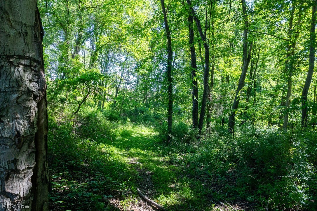 Ridge Road Minerva OH 44657