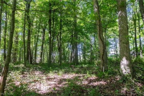Ridge Road Minerva OH 44657