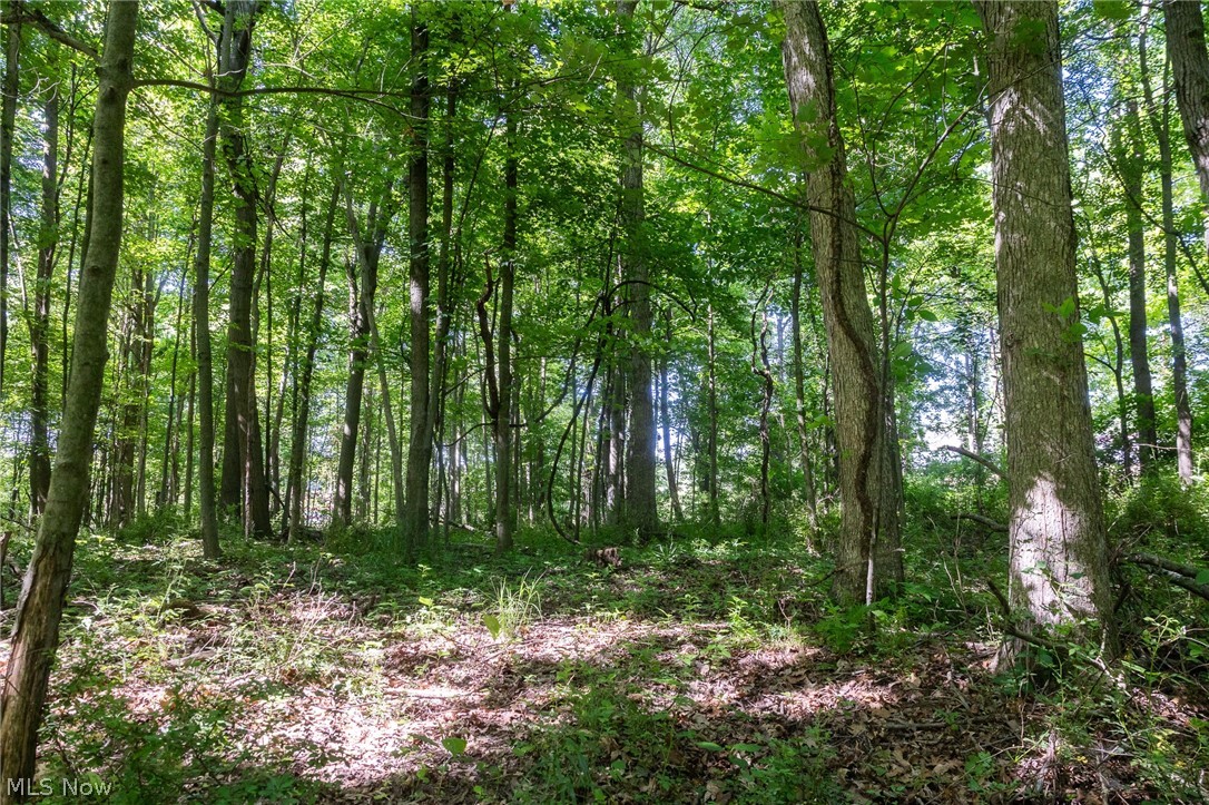 Ridge Road Minerva OH 44657