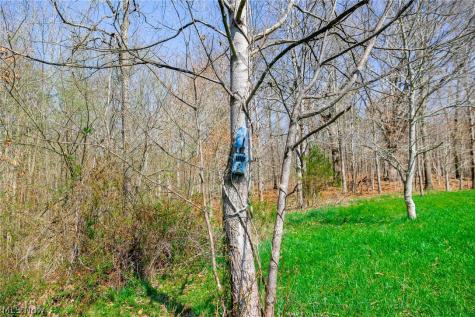 East Branch Road Lowell OH 45744