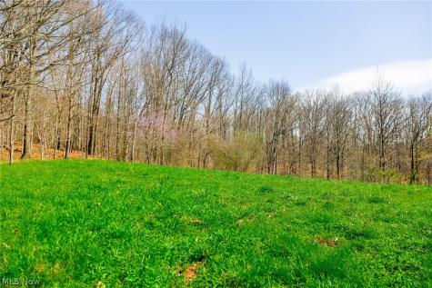 East Branch Road Lowell OH 45744