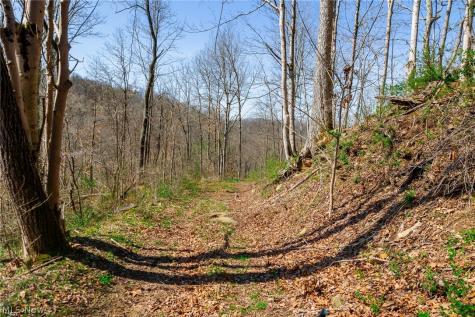 East Branch Road Lowell OH 45744
