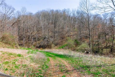 East Branch Road Lowell OH 45744
