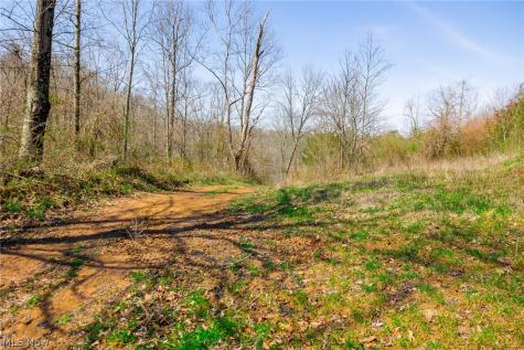 East Branch Road Lowell OH 45744