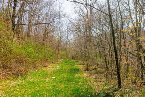 East Branch Road Lowell OH 45744